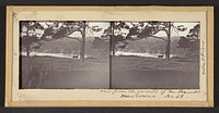 View from the Grounds of Mr. Freundt, Mendocino by Carleton Watkins