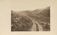 Entrance to Doone Valley by Charles L Mitchell M D and A W Elson and Co