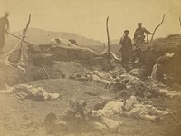 After capture of 2nd Fort Corea - view of dead Coreans. Lt. McKee of Kentucky mortally wounded near this spot. by Felice Beato