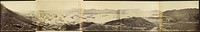 Panorama of Hong Kong Taken from Happy Valley by Felice Beato