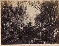 Khedive's Gardens