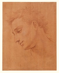 Head of Man in Profile to the Left by Girolamo Macchietti