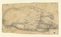 Study of a man's right hand (recto); Studies of four heads and of a nude figure seen from the rear (verso) by Agnolo Bronzino