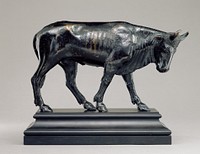 Bull with Lowered Head