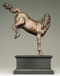 Kicking Horse by Caspar Gras