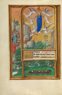 The Assumption of the Virgin by Master of James IV of Scotland