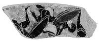 Attic Black-Figure Dinos Fragment
