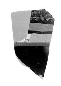 Attic Black-Figure Panathenaic Amphora Fragment