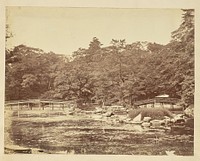 Pond at a Japanese temple