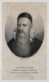 Caspar Bauhin. Stipple engraving by A. Tardieu.