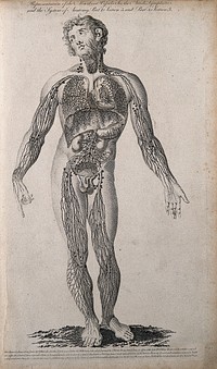 Vessels and glands of the lymphatic system: male figure seen from the front. Line engraving, by C. Warren after F. Blake, 1790.