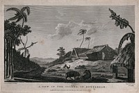 The island of Tongatapu (Tonga), visited by Cook on his second voyage, 1772-1775. Engraving by W. Byrne, 1777, after W. Hodges.