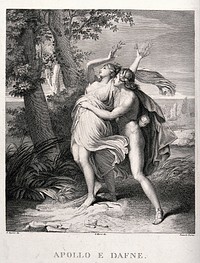 Apollo. Engraving by S. Jesi after G. Marri after A. Appiani.