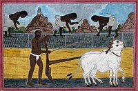 A man ploughing with oxen; in the background, women tending the paddy fields. Gouache drawing, 18--.