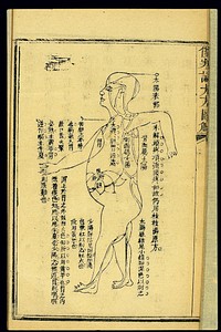 Theory of diseases treated with chaihu guizhi tang, Chinese