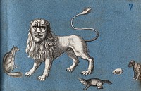 A lion, a fox, a dog and other animals. Cut-out engravings pasted onto paper, 16--.