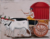 A man driving a bullock - carriage. Gouache painting on mica by an Indian artist.