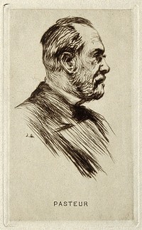 Louis Pasteur. Reproduction of etching by [L. Orr].