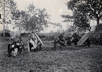 Sarawak: five Kenyah warriors in a warfare ritual. Photograph.