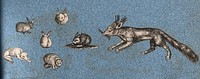Four rabbits, a hedgehog  and two foxes. Cut-out engraving pasted onto paper, 16--.