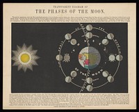 Astronomy: the phases of the Moon. Coloured engraving with tracing paper by J. Emslie, c.1850.