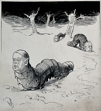 Lord Rosebery and two other politicians represented as caterpillars searching for leaves in a barren landscape. Drawing by A.S. Boyd, ca. 1895.