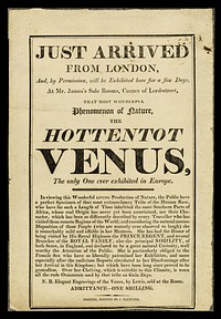 Just arrived from London, and, by permission, will be exhibited here for a few days at Mr. James's Sale Rooms, corner of Lord-street : that most wonderful phenomenom of nature, the Hottentot Venus : the only one ever exhibited in Europe.