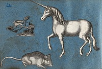 A unicorn, a squirrel and a mouse. Cut-out engravings pasted onto paper, 16--.