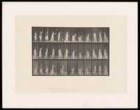 A clothed woman tries to catch a falling handkerchief then picks it up from the ground. Collotype after Eadweard Muybridge, 1887.
