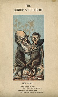 Charles Robert Darwin, as an ape, holds a mirror up to another ape. Colour lithograph by F. Betbeder.