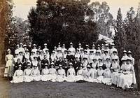 Johannesburg Hospital, South Africa: group of nurses and doctors. Photograph, c. 1905.