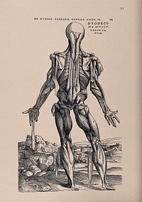 Muscleman, in a landscape, seen from behind. Photolithograph, 1940, after a woodcut, 1543.