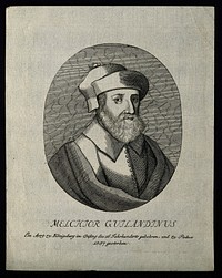 Melchior Guilandinus. Line engraving.