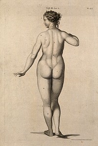 Superficial anatomy of the woman: posterior view. Engraving by A. Bell after G. Bidloo, 1798.