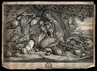 Game animals, birds and waterfowl (23 varieties), lying dead on the ground beneath an oak tree, in a pastoral setting. Etching, by G. Van der Gucht after P.A. Rysbrack , 1750/1770.