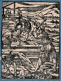 Carpenters working in the open air, making woodwork for mills, castles, bridges and ships. Woodcut by J. Amman.