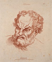 A bearded man whose face expresses horror. Crayon manner print by W. Hebert, c. 1770, after C. Le Brun.