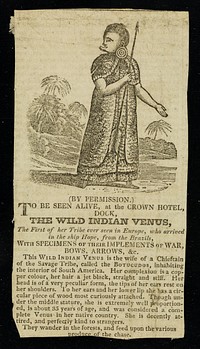 [Undated newspaper cutting (early 19th century) about Dock, the Wild Indian Venus, a Brazilian of the Butucudos tribe with a lower lip plate and ear tips resting on her shoulders, to be seen "at the Crown Hotel". ].