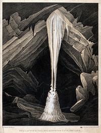Geology: a large stalactite in Kingston Cave, Ireland. Lithograph by G. Masser after Miss Atkinson.