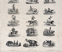 The various ways of using horses, stags and elephants for the art of performing acrobatic feats shown in shown in seven sketches. Chalk lithograph by de Lemercier after V. J. Adam.
