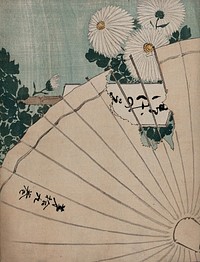 An album cover: chrysanthemums seen through a torn umbrella. Colour woodcut, ca. 1900.