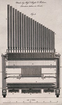 Musical organ pipes made by Flight & Robson. Engraving.