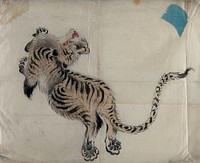 A leaping tiger. Painting by a Chinese artist.