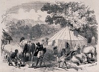 A camp site for the railway engineer of the East Indian Railway Company with staff preparing food and tending animals. Wood engraving after E. Braddon, 1857.