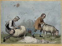 Lord Brougham shears a mock sheep with the head of Lord Melbourne, and Sir William Molesworth combs Lord Glenelg. Coloured lithograph by H.B. (John Doyle), 1838.