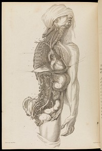 Dissection of the human body. Sir Charles Bell, 1802.