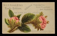 Dr. J.H. Schenck & Son's family medicines for the cure of consumption, liver complaint, and dyspepsia : for sale by all druggists / Dr. J.H. Schenck & Son.