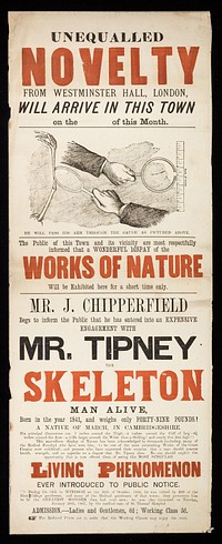 Unequalled novelty from Westminster Hall, London, will arrive in this town on the of this month : The public of this town and its vicinity are most respectfully informed that a wonderful display of the works of nature will be exhibited here for a short time only. Mr. J. Chipperfield begs to inform the public that he has entered into an expensive engagement with Mr. Tipney the Skeleton Man Alive, born in the year 1841, and weighs only forty-nine pounds!.