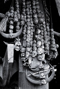 Trophies of a headhunter's house of the Chang Naga tribe, India, including human skulls. Photograph.