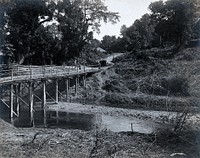 Assam, India: a narrow wooden bridge over a river; a car is on the road in the distance; an Indian man stands to one side of the bridge. Photograph, 1900/1920 .